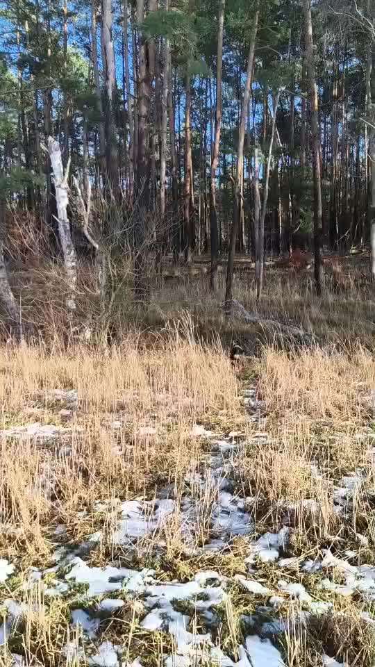 "Wege zur Freundschaft" (Ulli Reichmann)-Beitrag-Bild