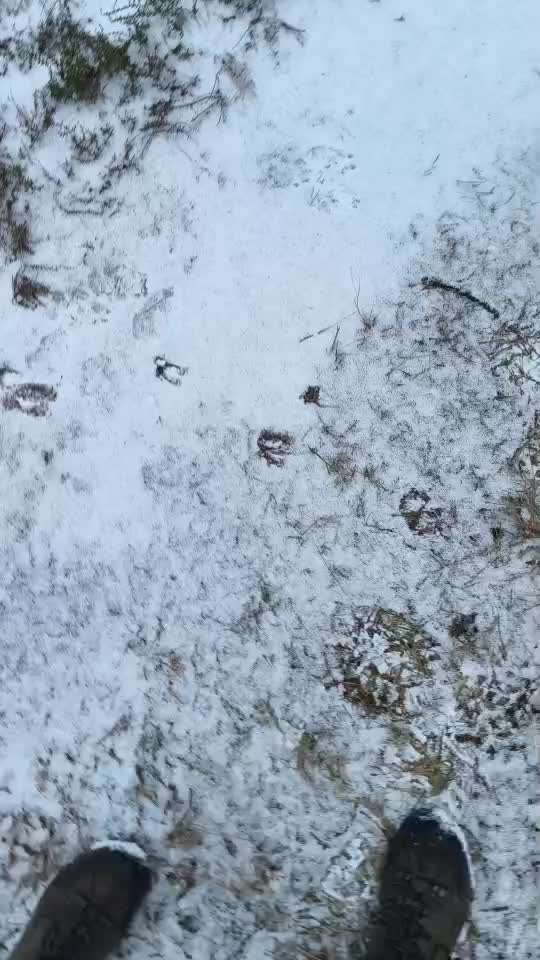 "Wege zur Freundschaft" (Ulli Reichmann)-Beitrag-Bild