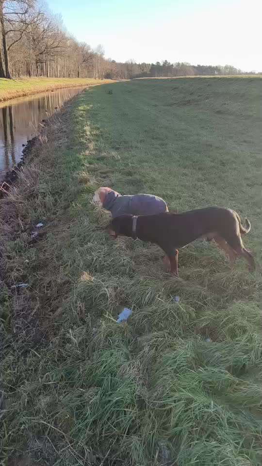 "Wege zur Freundschaft" (Ulli Reichmann)-Beitrag-Bild