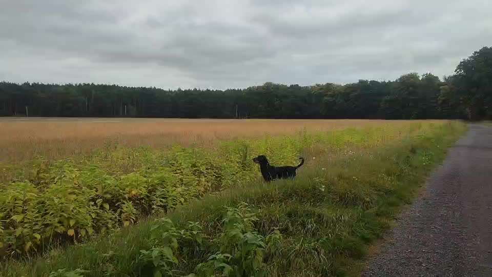 "Wege zur Freundschaft" (Ulli Reichmann)-Beitrag-Bild