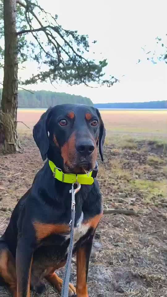 "Wege zur Freundschaft" (Ulli Reichmann)-Beitrag-Bild