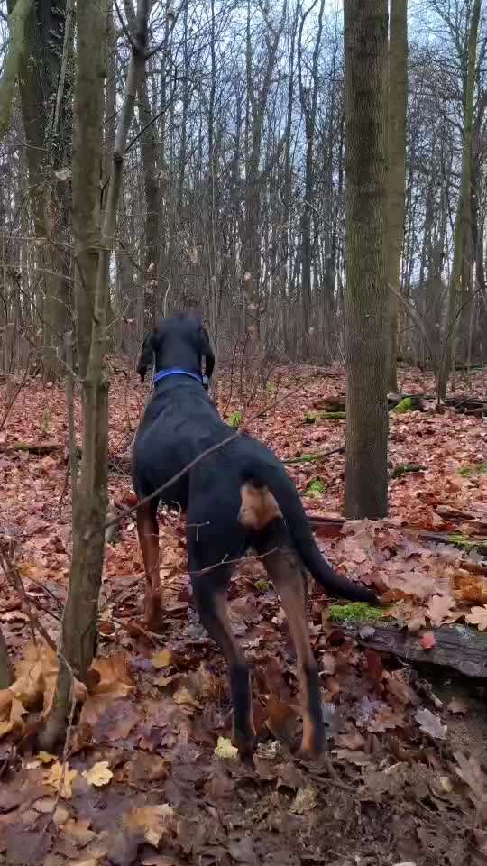 "Wege zur Freundschaft" (Ulli Reichmann)-Beitrag-Bild
