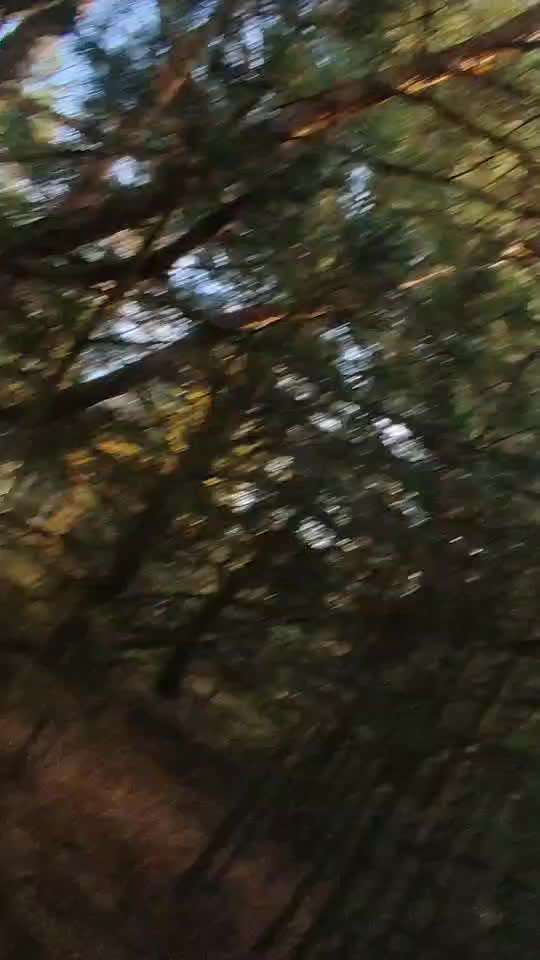 "Wege zur Freundschaft" (Ulli Reichmann)-Beitrag-Bild