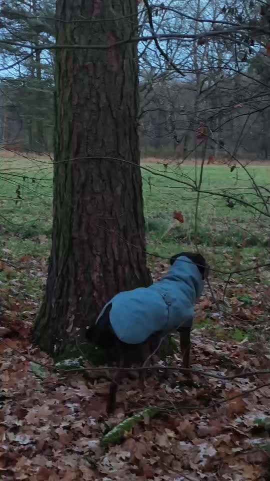 "Wege zur Freundschaft" (Ulli Reichmann)-Beitrag-Bild