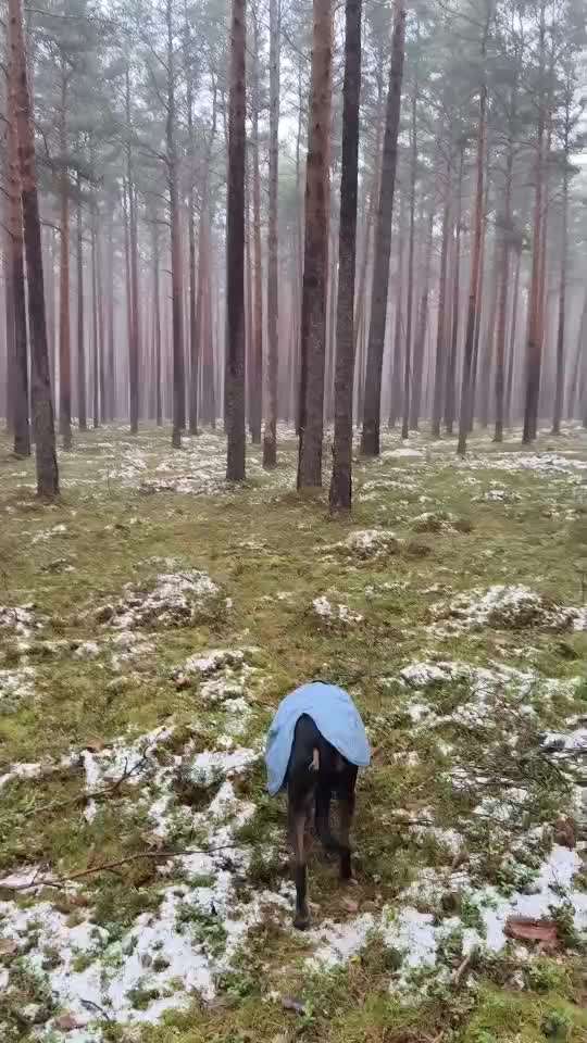 "Wege zur Freundschaft" (Ulli Reichmann)-Beitrag-Bild