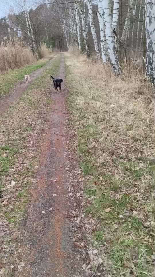 "Wege zur Freundschaft" (Ulli Reichmann)-Beitrag-Bild