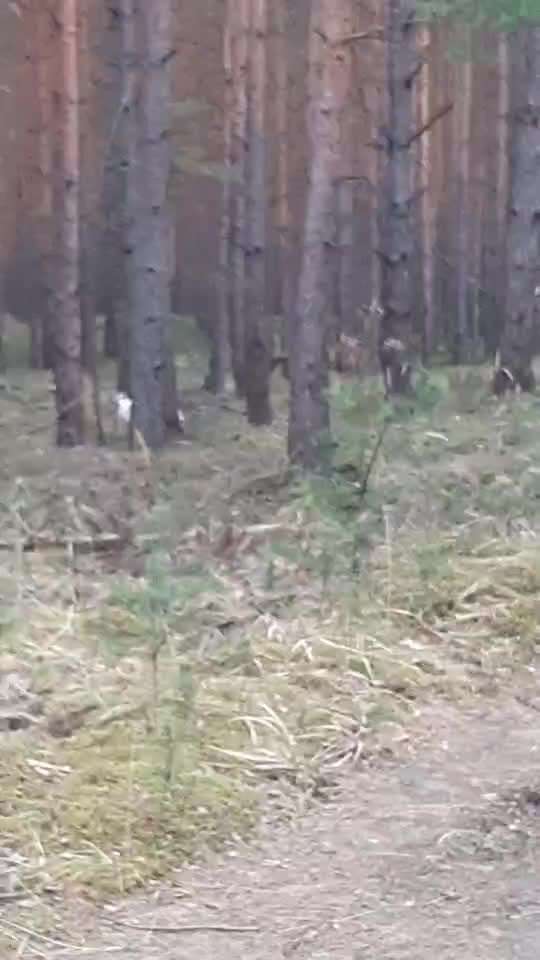 "Wege zur Freundschaft" (Ulli Reichmann)-Beitrag-Bild