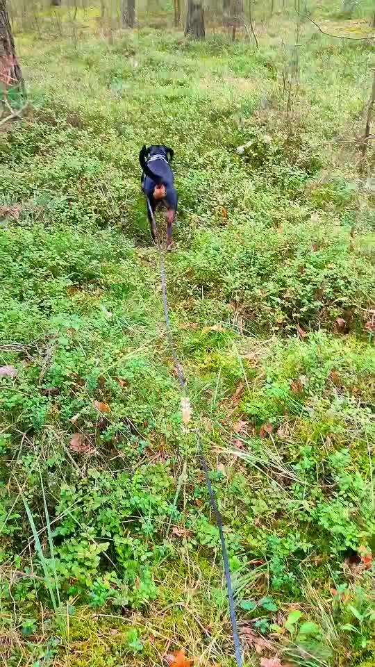 "Wege zur Freundschaft" (Ulli Reichmann)-Beitrag-Bild