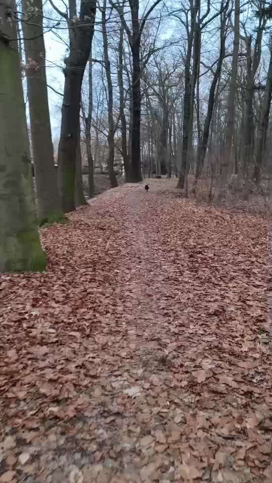 "Wege zur Freundschaft" (Ulli Reichmann)-Beitrag-Bild