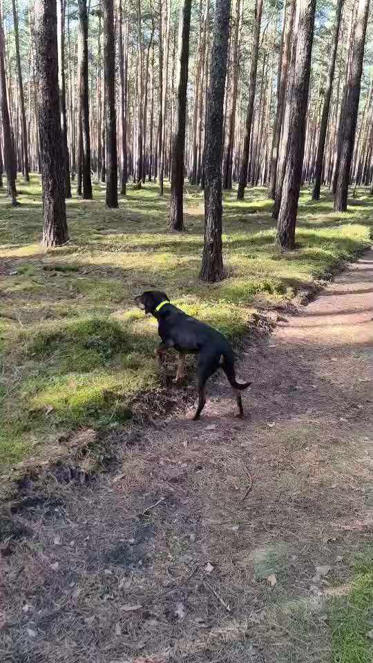 "Wege zur Freundschaft" (Ulli Reichmann)-Beitrag-Bild