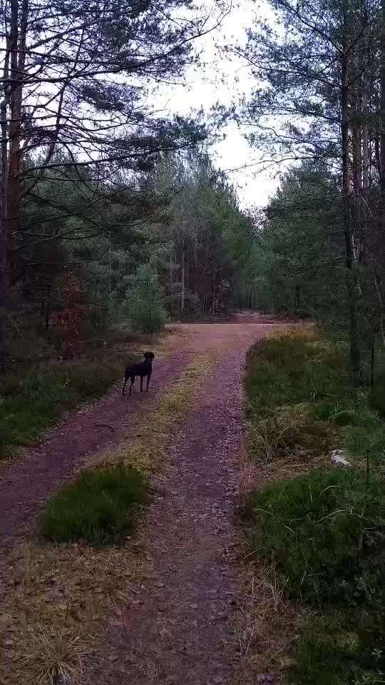 "Wege zur Freundschaft" (Ulli Reichmann)-Beitrag-Bild