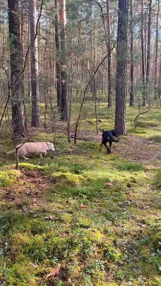 "Wege zur Freundschaft" (Ulli Reichmann)-Beitrag-Bild