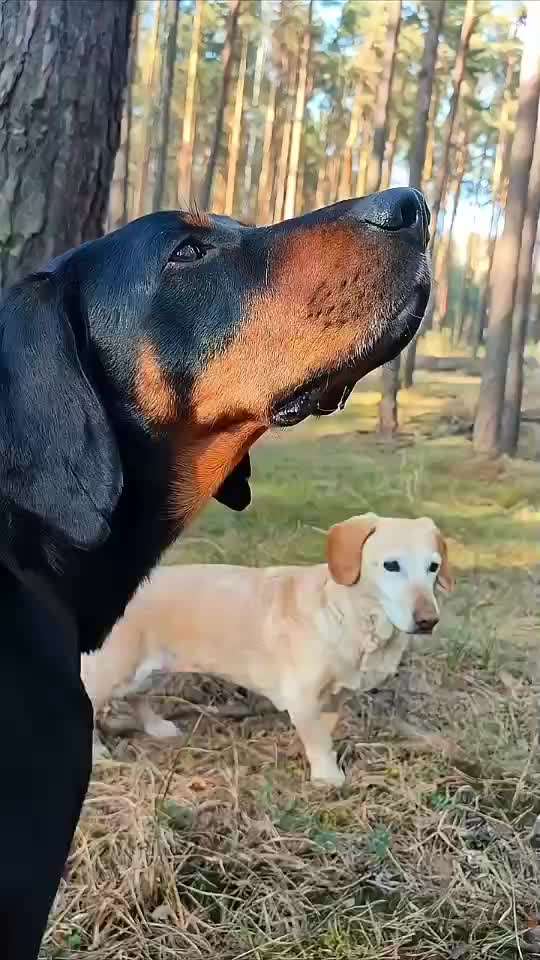 "Wege zur Freundschaft" (Ulli Reichmann)-Beitrag-Bild
