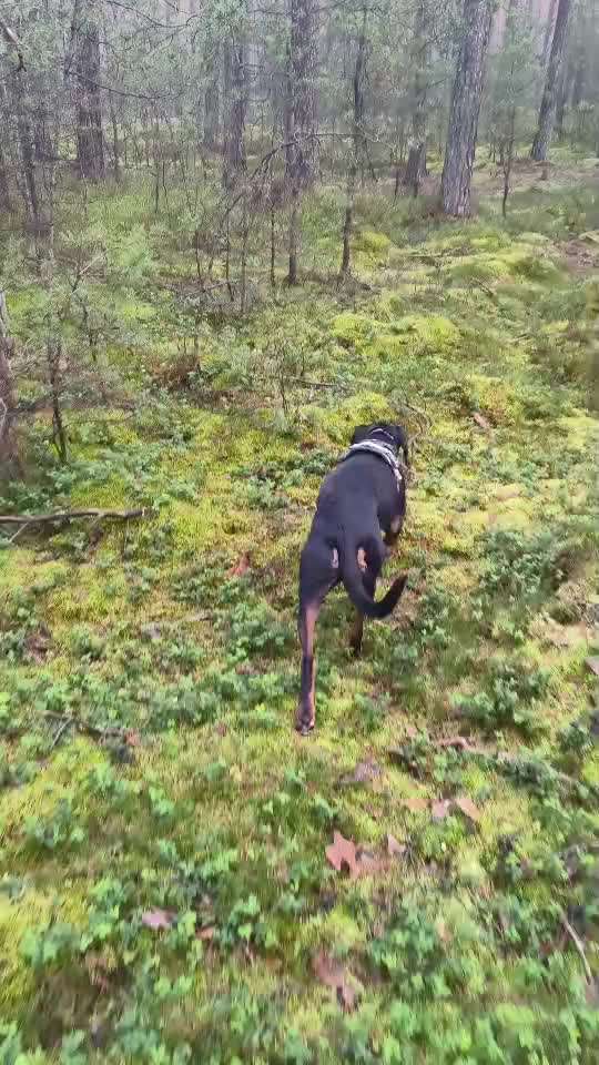 "Wege zur Freundschaft" (Ulli Reichmann)-Beitrag-Bild