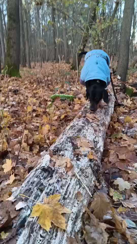 "Wege zur Freundschaft" (Ulli Reichmann)-Beitrag-Bild