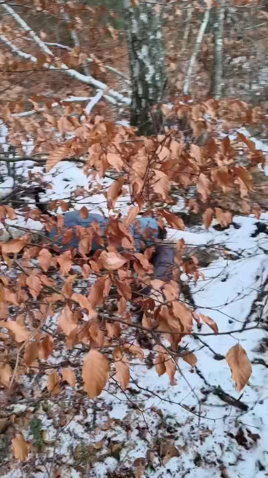 "Wege zur Freundschaft" (Ulli Reichmann)-Beitrag-Bild