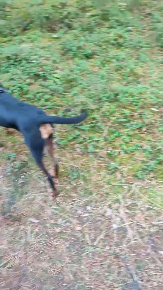 "Wege zur Freundschaft" (Ulli Reichmann)-Beitrag-Bild