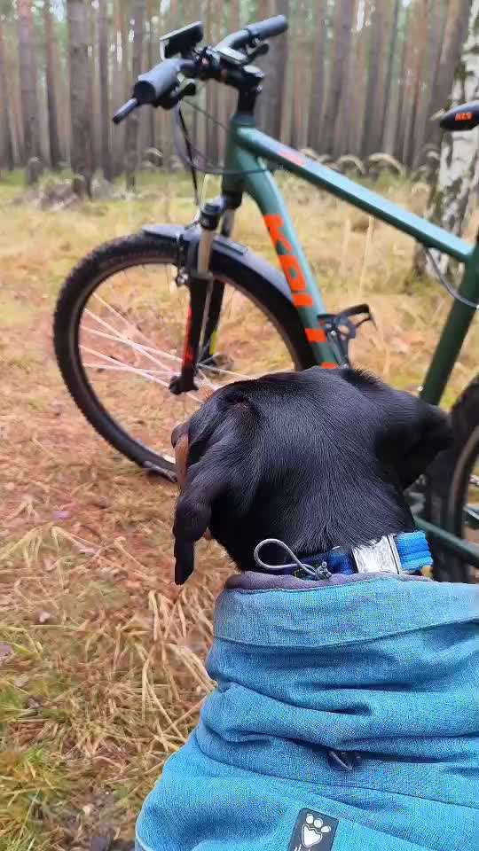 "Wege zur Freundschaft" (Ulli Reichmann)-Beitrag-Bild