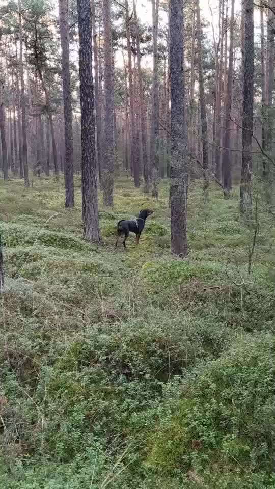 "Wege zur Freundschaft" (Ulli Reichmann)-Beitrag-Bild