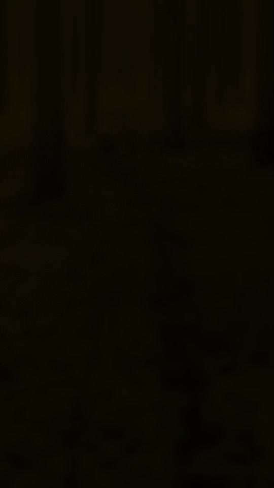 "Wege zur Freundschaft" (Ulli Reichmann)-Beitrag-Bild