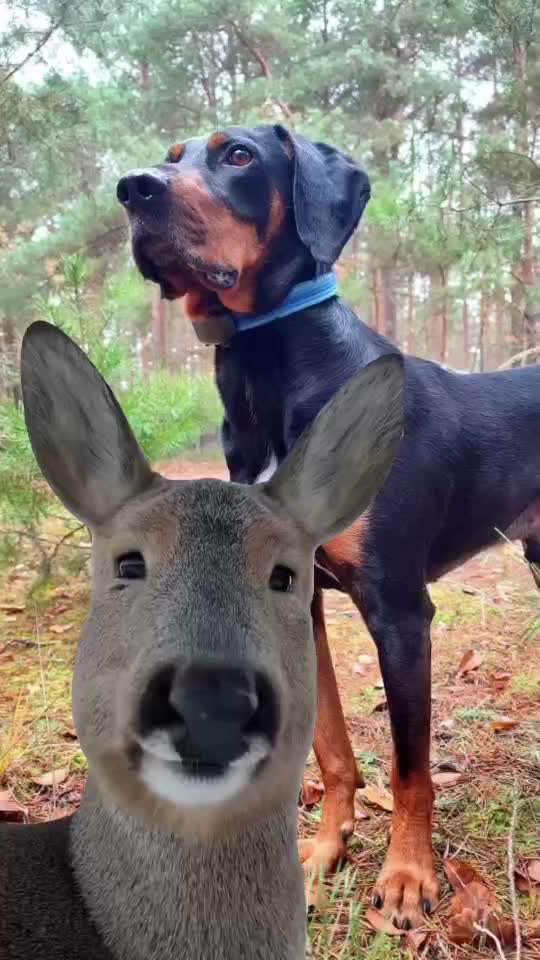 "Wege zur Freundschaft" (Ulli Reichmann)-Beitrag-Bild