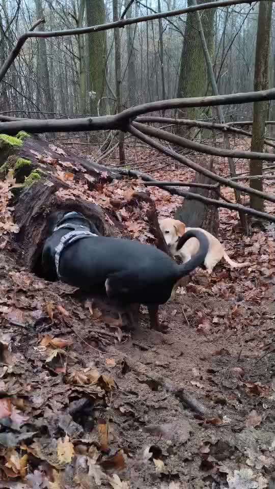 "Wege zur Freundschaft" (Ulli Reichmann)-Beitrag-Bild