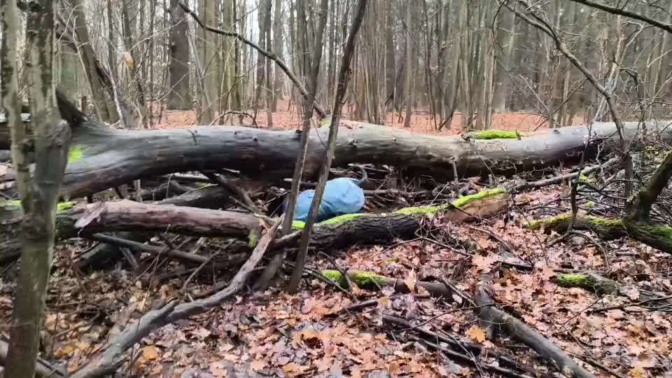 "Wege zur Freundschaft" (Ulli Reichmann)-Beitrag-Bild