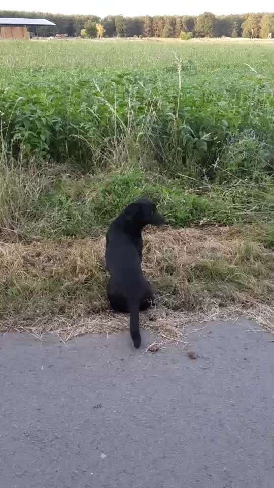 "Wege zur Freundschaft" (Ulli Reichmann)-Beitrag-Bild