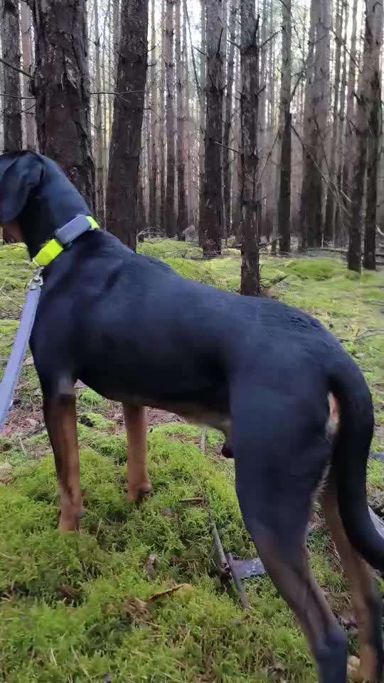 aktuelles Foto Gruppe Körpersprache lesen & verstehen