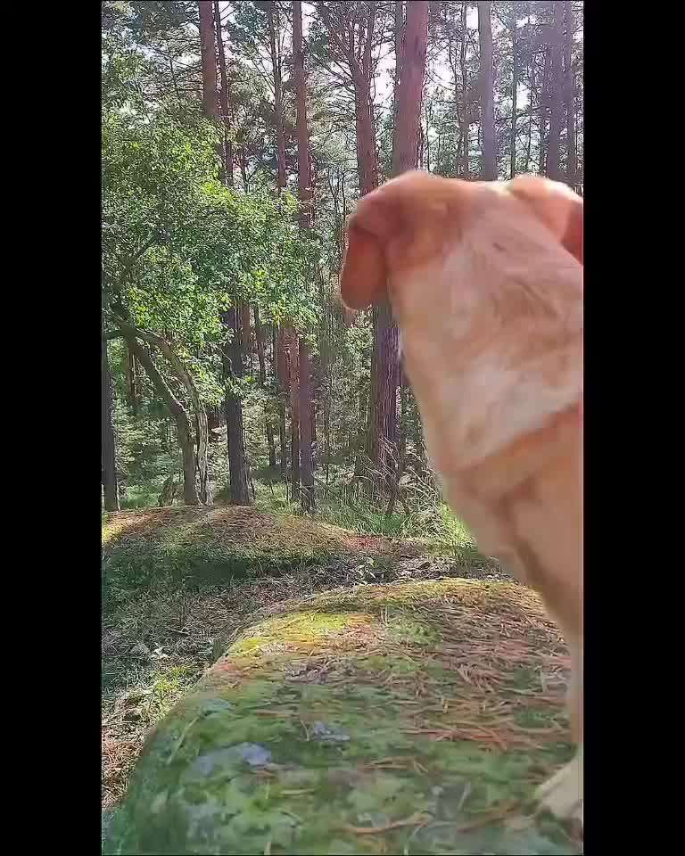 "Wege zur Freundschaft" (Ulli Reichmann)-Beitrag-Bild