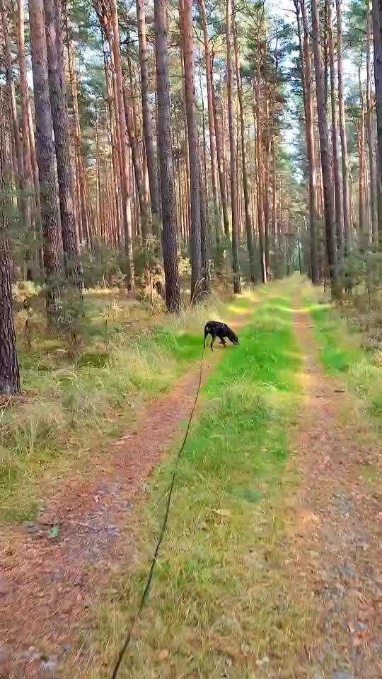 "Wege zur Freundschaft" (Ulli Reichmann)-Beitrag-Bild