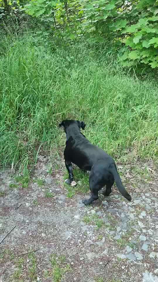 "Wege zur Freundschaft" (Ulli Reichmann)-Beitrag-Bild