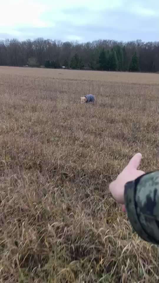 "Wege zur Freundschaft" (Ulli Reichmann)-Beitrag-Bild