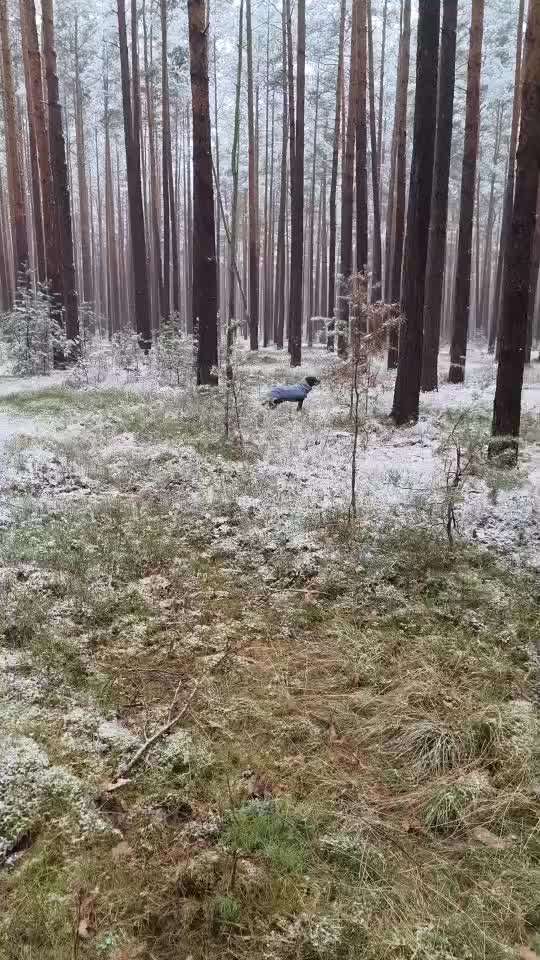 "Wege zur Freundschaft" (Ulli Reichmann)-Beitrag-Bild