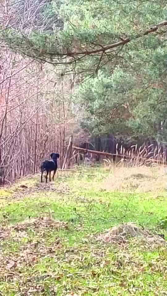 "Wege zur Freundschaft" (Ulli Reichmann)-Beitrag-Bild