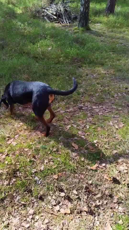 "Wege zur Freundschaft" (Ulli Reichmann)-Beitrag-Bild