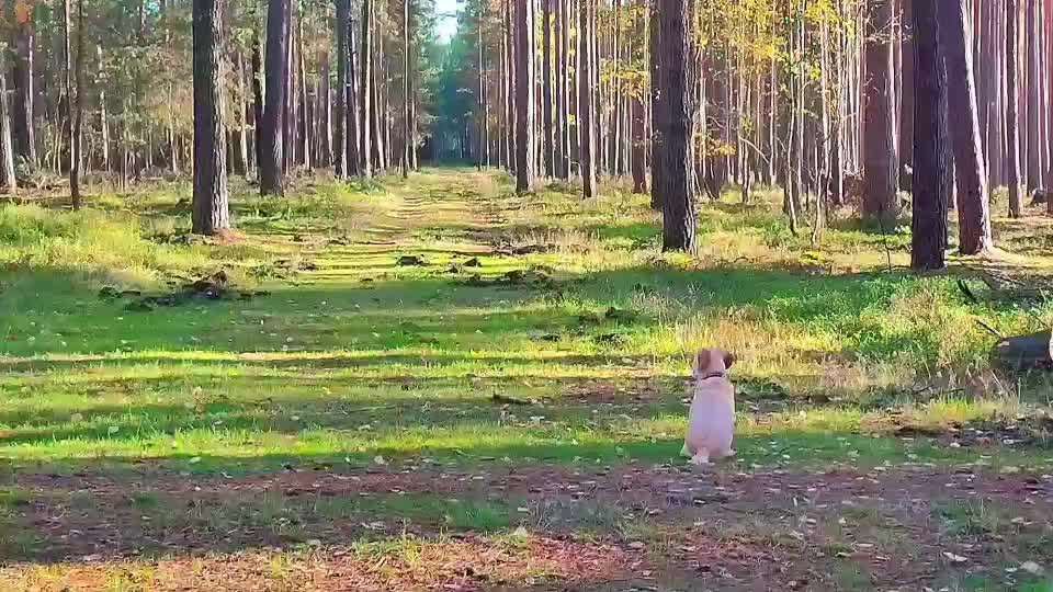 "Wege zur Freundschaft" (Ulli Reichmann)-Beitrag-Bild