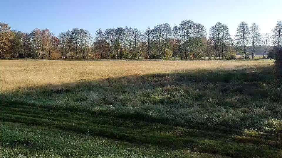 "Wege zur Freundschaft" (Ulli Reichmann)-Beitrag-Bild