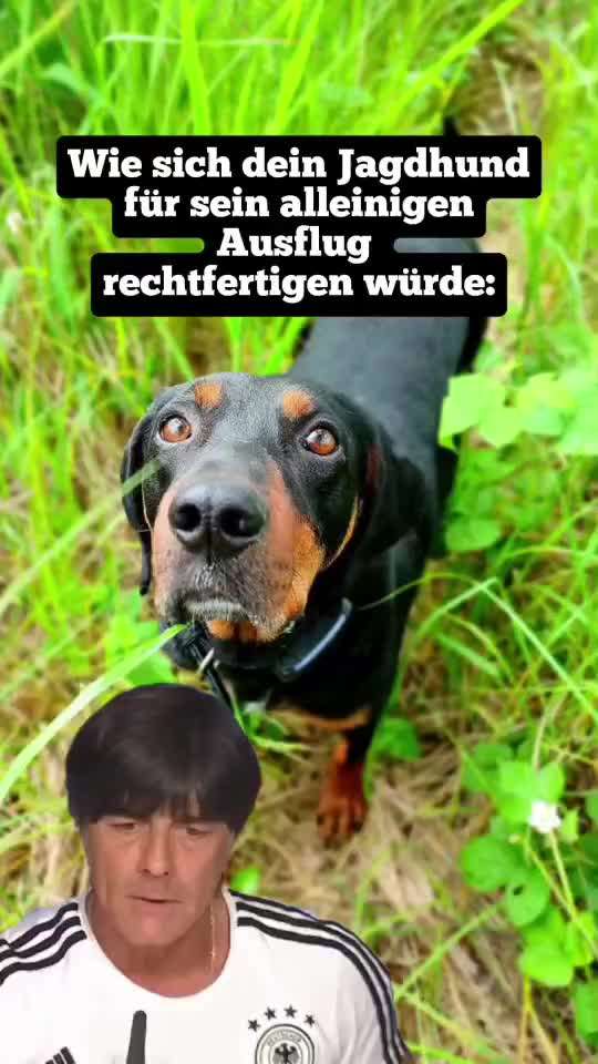 "Wege zur Freundschaft" (Ulli Reichmann)-Beitrag-Bild