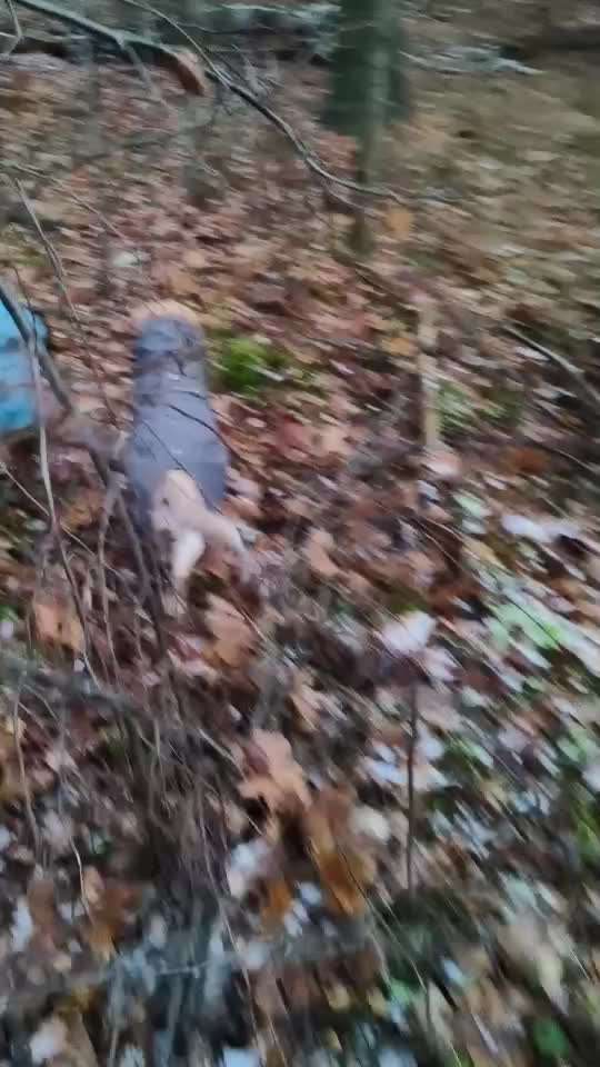 "Wege zur Freundschaft" (Ulli Reichmann)-Beitrag-Bild