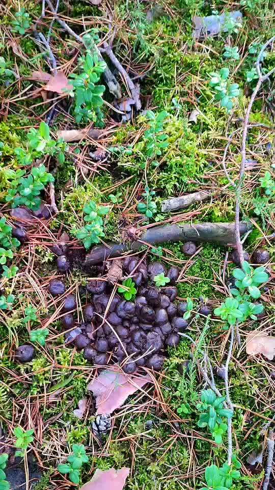 "Wege zur Freundschaft" (Ulli Reichmann)-Beitrag-Bild