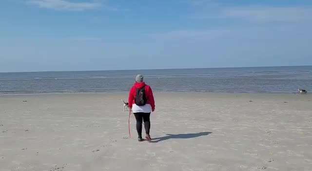 Begegnungen am Hundestrand - ich möchte lernen-Beitrag-Bild