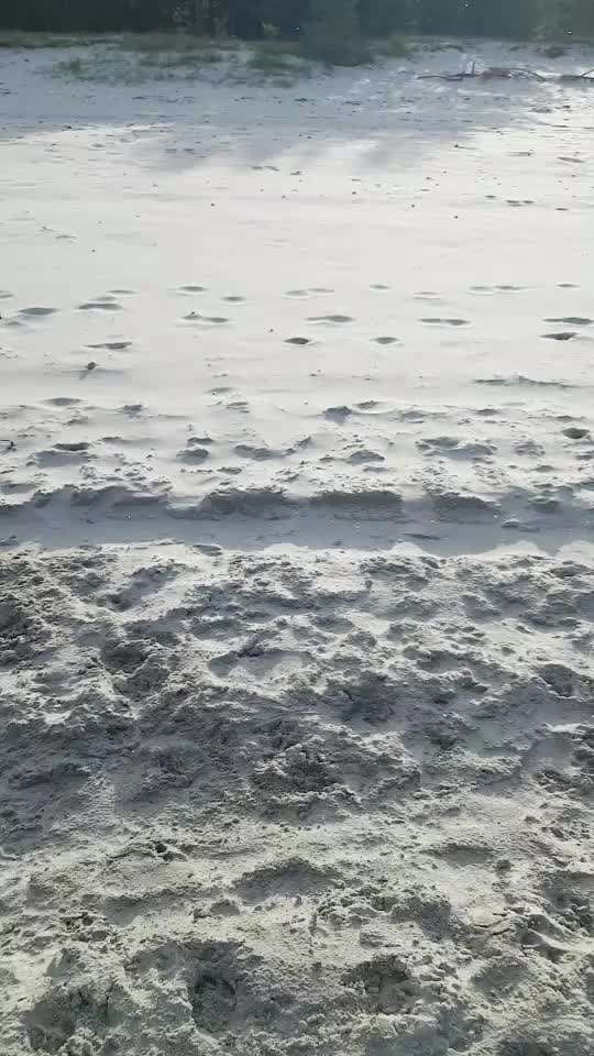 Windhunde - Treffen der besonderen Schönheiten
HERZLICH WILLKOMMEN-Beitrag-Bild