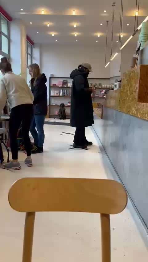 Rhodesian Ridgeback-Beitrag-Bild