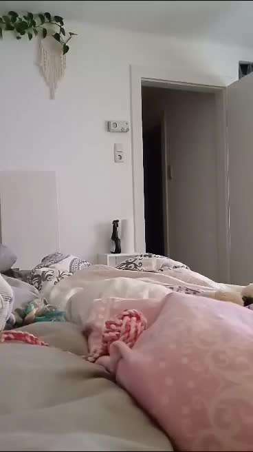 Hilfe Angsthund-Beitrag-Bild