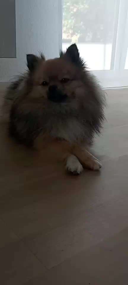 Trick Challenge Nr. 14-Beitrag-Bild