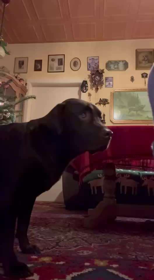 83.Trickspiel Karate-Beitrag-Bild