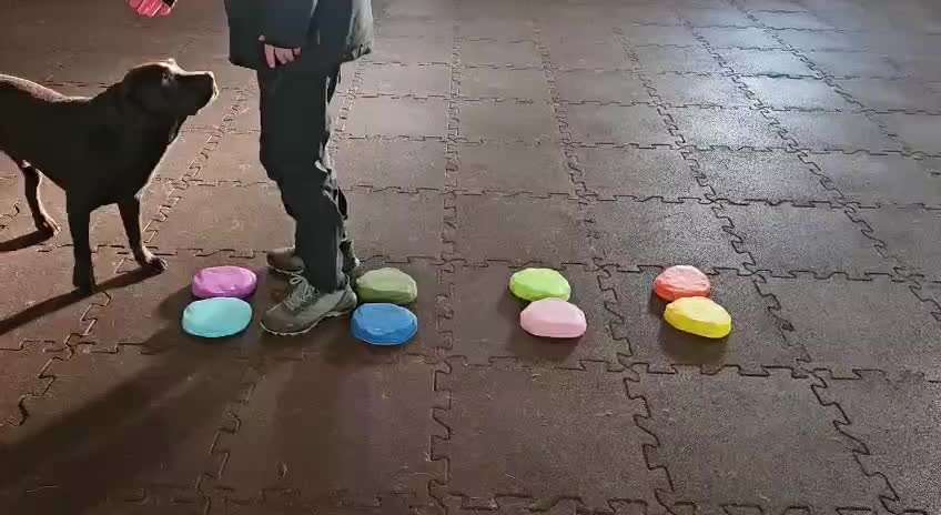 aktuelles Foto Gruppe Trickkiste