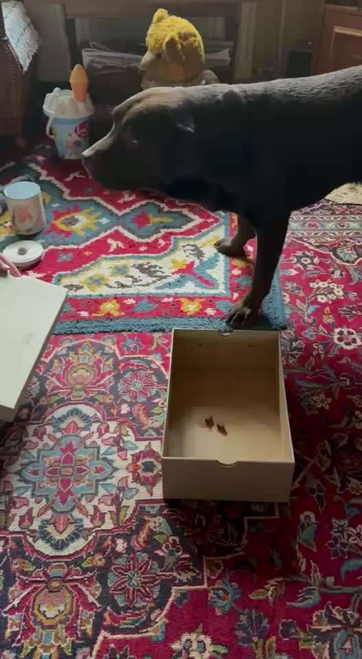 aktuelles Foto Gruppe Trickkiste