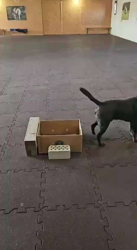 aktuelles Foto Gruppe Trickkiste